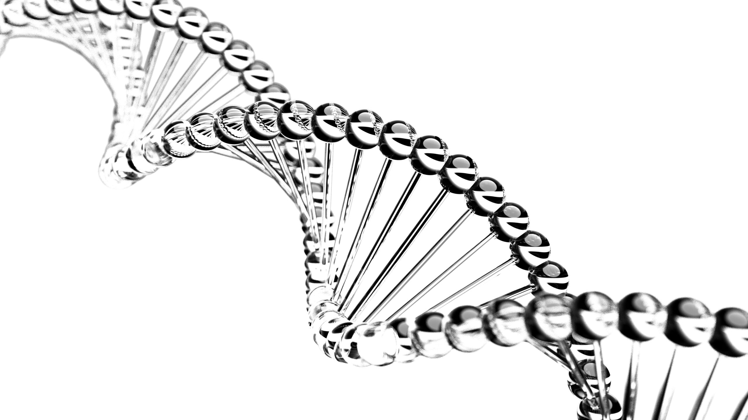 The Sirtuin Gene for Healthy Life Span.